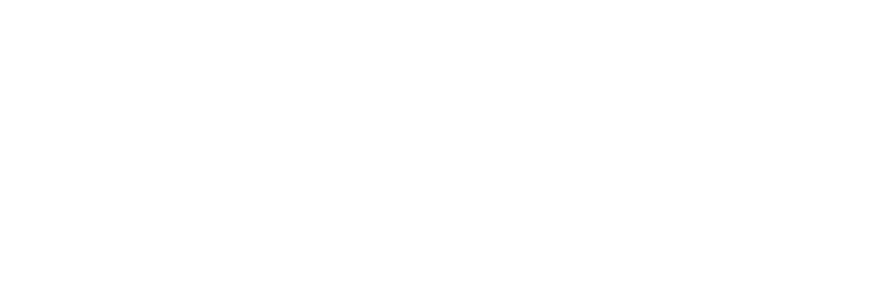 Audiovisit